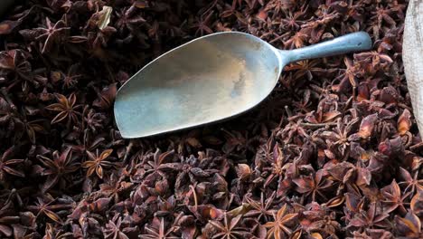 within a sack, a metal scoop rests on top of illicium verum seeds for sale at a local spice shop