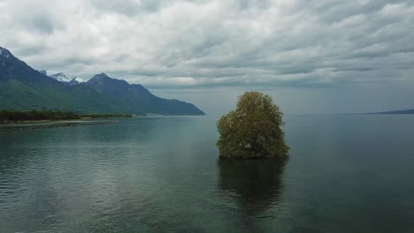 Scenic view of lone tree growing on a rock in lake Geneva with swiss alps mountains and cloudy sky in the background, Villeneuve, Vaud, Switzerland, drone flying forward