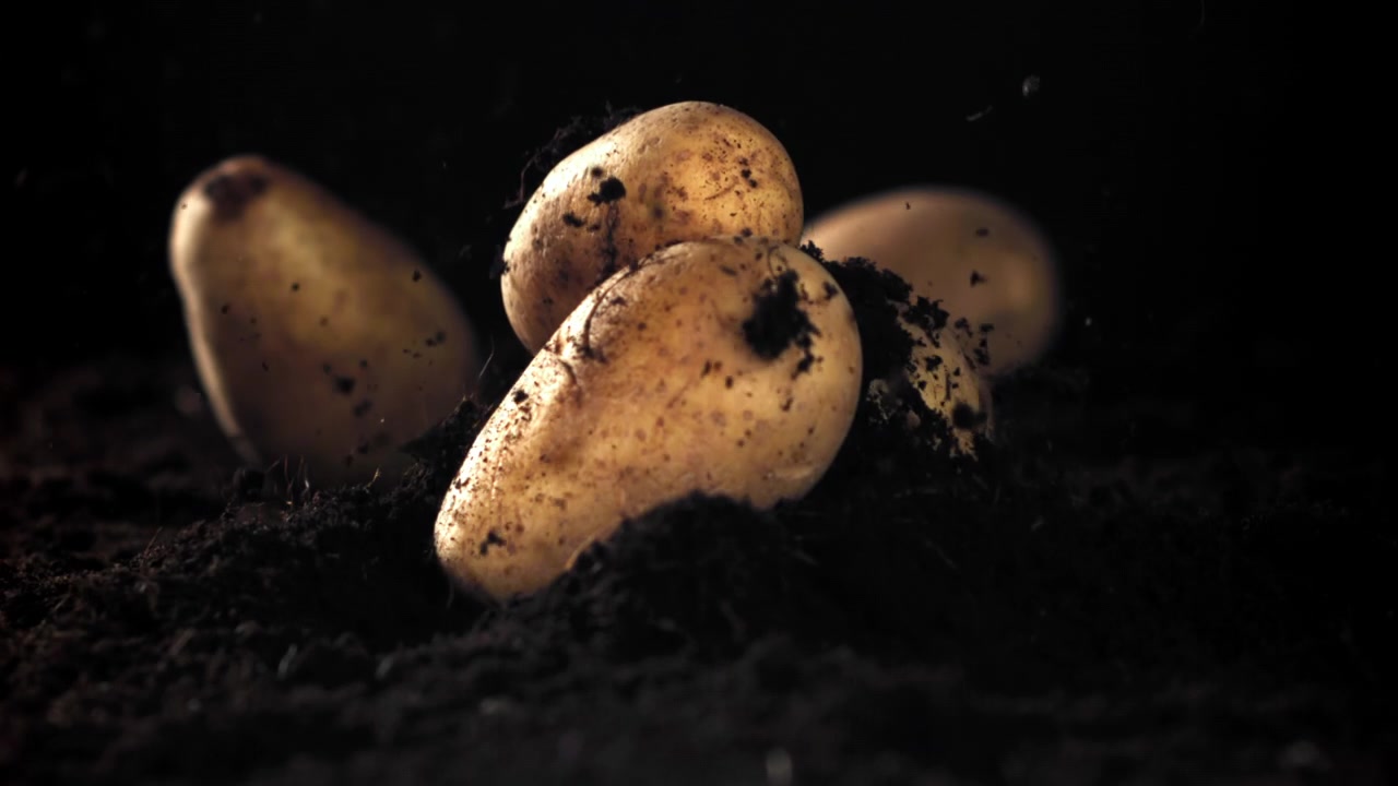 Patate fresche che cadono in terreno scuro al rallentatore
