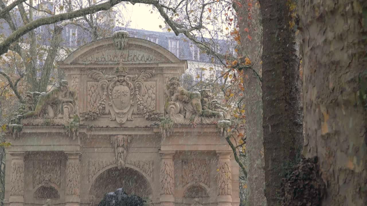 Rainy Day in the Garden