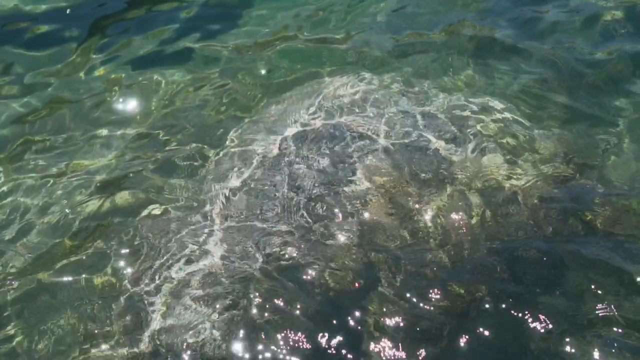 Sparkling Sunlight on Calm Green Blue Sea Water