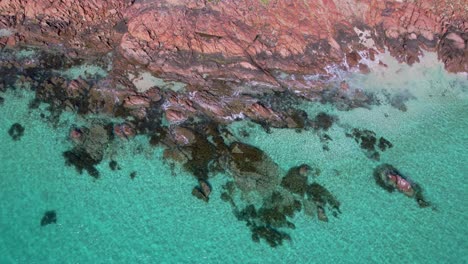 Imágenes-Aéreas-De-Drones-De-Arriba-Hacia-Abajo-De-Las-Aguas-Turquesas-Y-Las-Rocas-Naranjas-De-Point-Piquet-En-El-Oeste-De-Australia