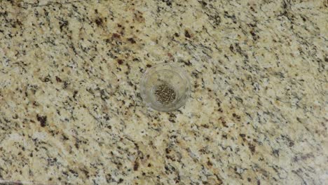 putting crushed black pepper in glass jar on the table