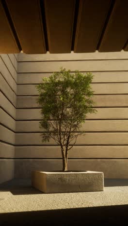 the potted tree at the end of the tunnel. vertical animation