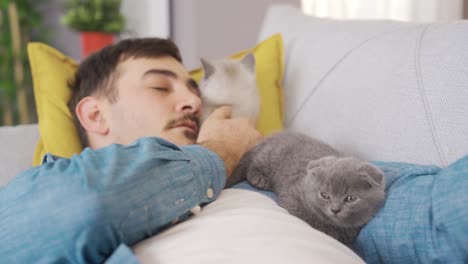 animal lover man sleeps with his kittens.