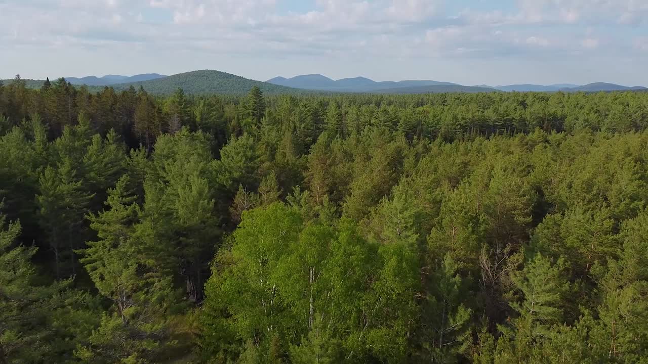 Lenta ripresa aerea su una natura selvaggia montuosa verde con nuvole