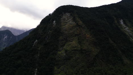 avalancha masiva de árboles en milford sound en un día nublado
