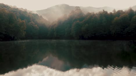 Schöner,-Ruhiger,-Nebliger-See-Im-Wald-Mit-Nebel-In-Der-Landschaftsszene-Der-Kiefernwälder-Im-Freien