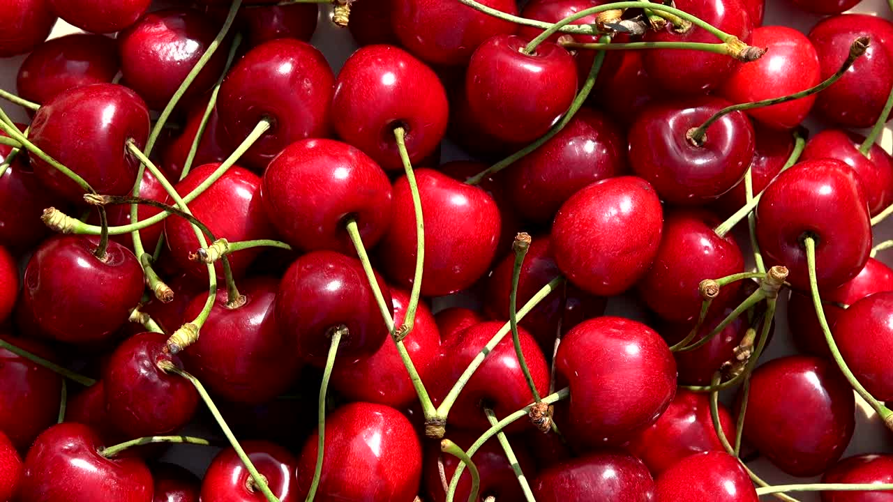Buah ceri merah matang alami. Meja putar berputar berlawanan arah jarum jam.