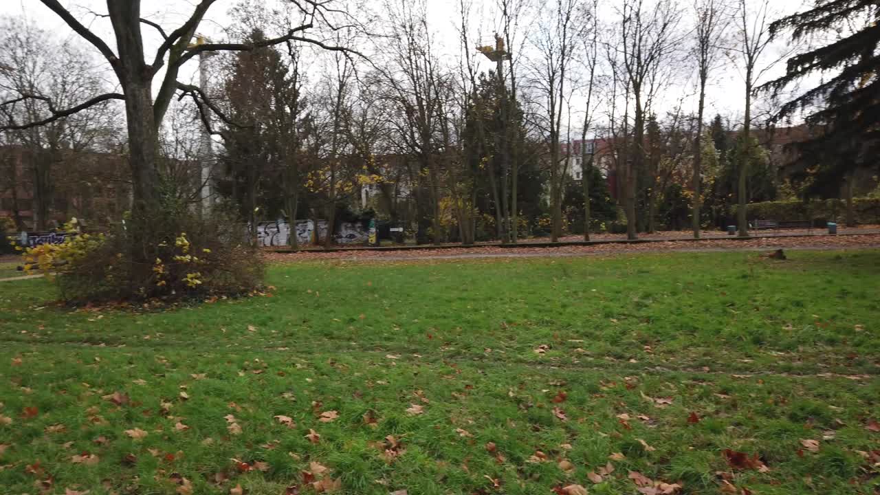 Panoramique rapide vers la droite dans un parc à Berlin, Allemagne. Nature, feuilles mortes, arbres, couleurs de l'automne. HD 30 FPS 6 secondes