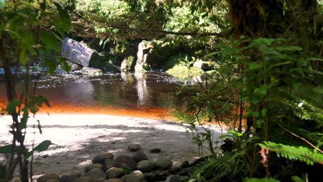 pov shot through jungle with paradisaical red brown colored river