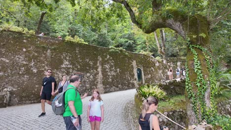 lush green trees in quinta da regaleira, sintra, with a bright sky in the background