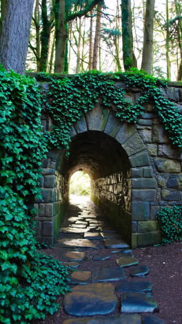 stone tunnel with ivy and light at the end