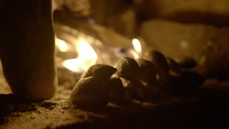 a close up of wild foraged mussels slowly cook in front of an open log fire in an old fireplace