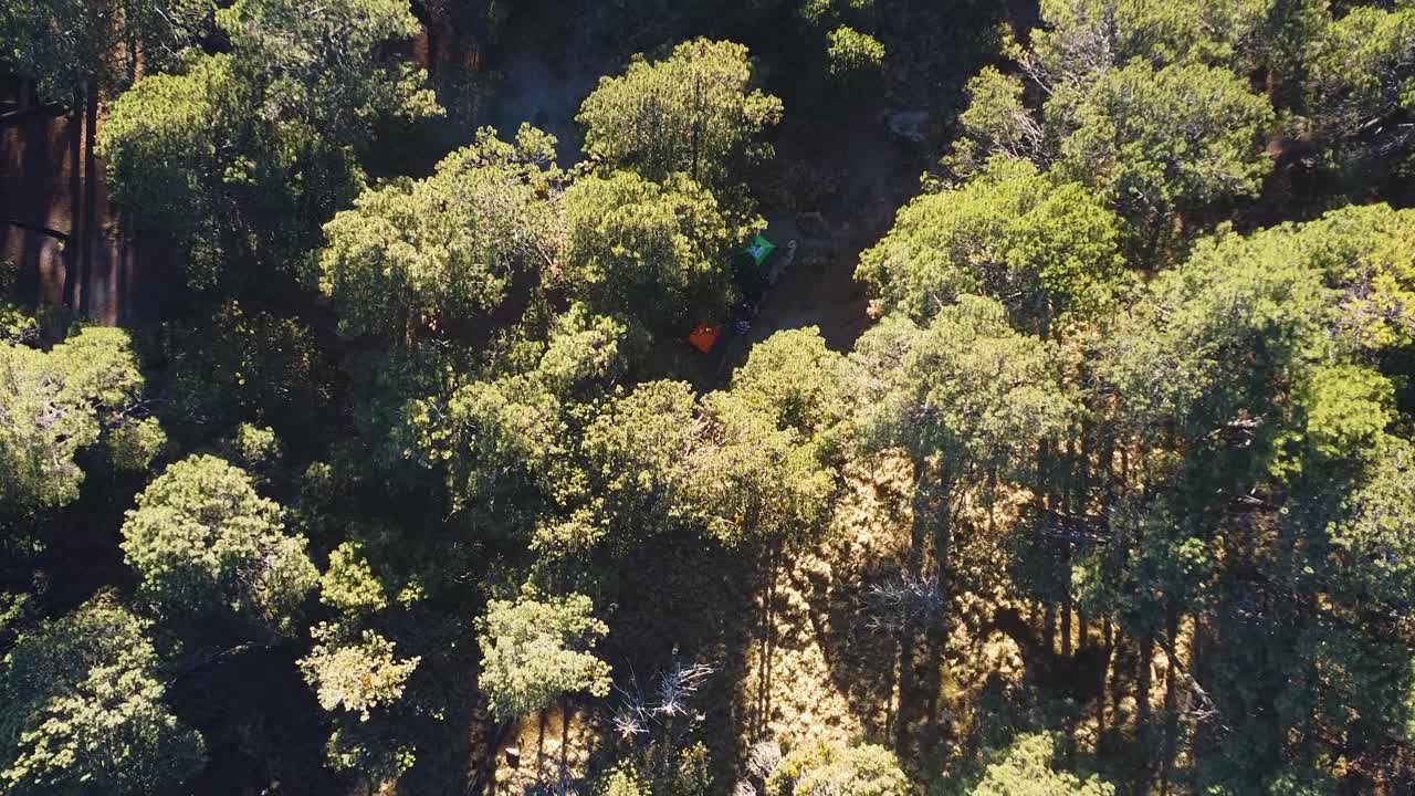 árboles altos en la ladera con una pequeña estructura oculta ampliando en américa