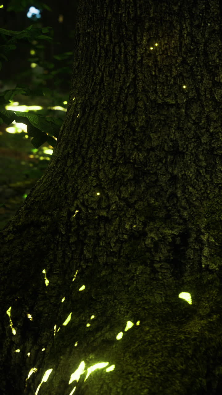 Lucciole illuminano un tronco d'albero di notte in una foresta, creando una vista magica.