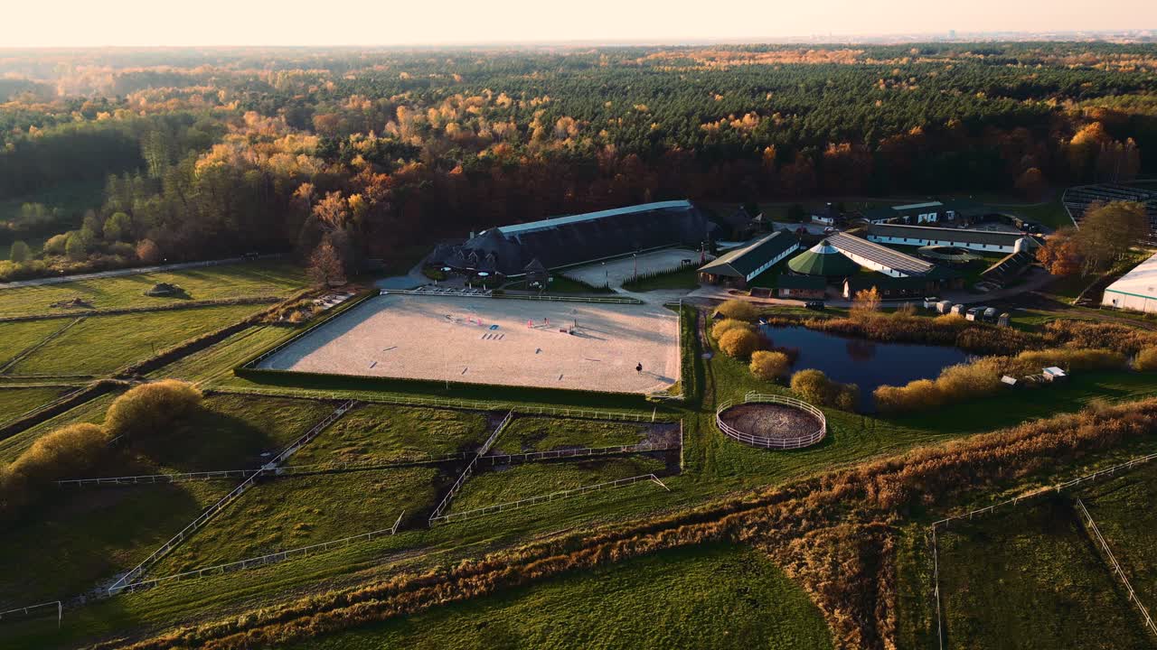 마구간 근처 목장에서 걷고 풀을 뜯는 순종 말 무리