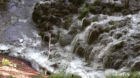 Wasser-Kaskadiert-Eine-Reihe-Von-Felsigen-Oberflächen-Im-Nationalpark-Plitvicer-Seen-In-Kroatien,-Europa-Mit-¼-Geschwindigkeit