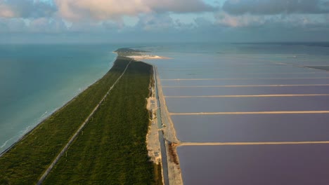 wide aerial view of las coloradas coastline with pink lakes and lush forest at sunset