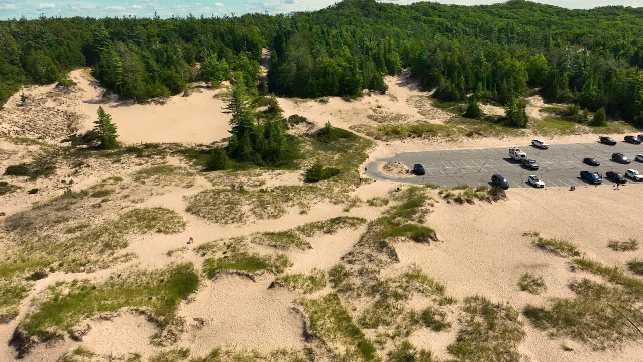 Pushing forward to the lush deep green trees