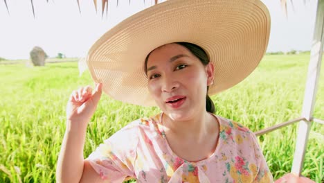 Mujer-Adulta-Haciendo-Una-Videollamada-Que-Muestra-Un-Gran-Campo-De-Producción-De-Arroz