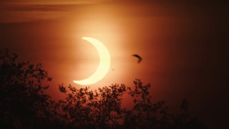anillo de fuego eclipse solar visto desde canadá.