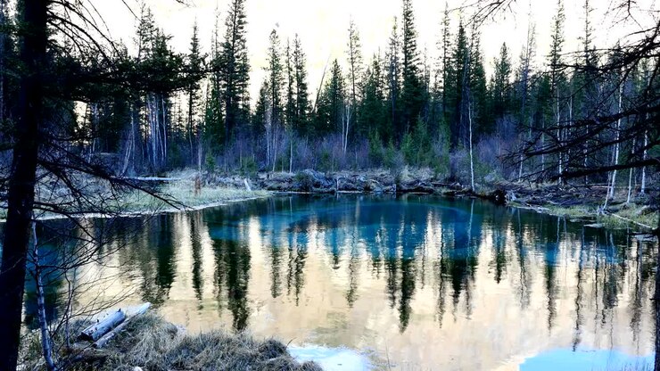 Lago Geyser Blu in una Foresta Incantata in Loop Continuo.