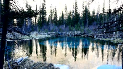 blue geyser lake in fairy forest seamless loop