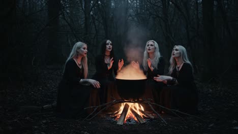 Enchanting Gathering of Mystical Figures by a Cauldron: A Hauntingly Beautiful Ritual in the Woods with Flickering Flames and Eerie Atmosphere