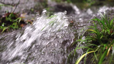 the clear stream in the valley flows down from mossy stones