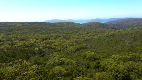 La-Naturaleza-Siempre-Te-Dará-La-Bienvenida-A-Casa