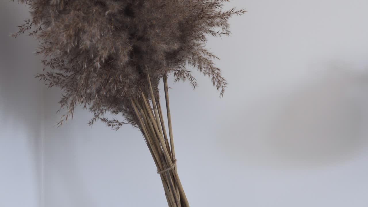 revisión de una flor de hierba gris seca para la decoración de interiores en el florero