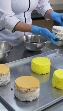 round little cakes are covered with chocolate crumbs sprinkling. female worker takes a dessert and puts dark dressing to the sides of a cake. vertical video