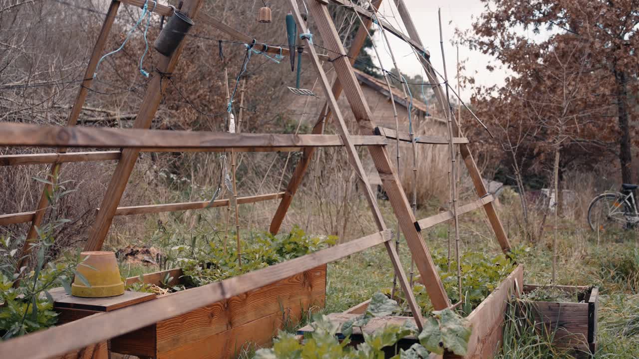 Garden scene with permaculture beds, representing eco-friendly gardening and natural beauty.