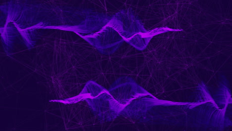 animation of purple waves and network connections