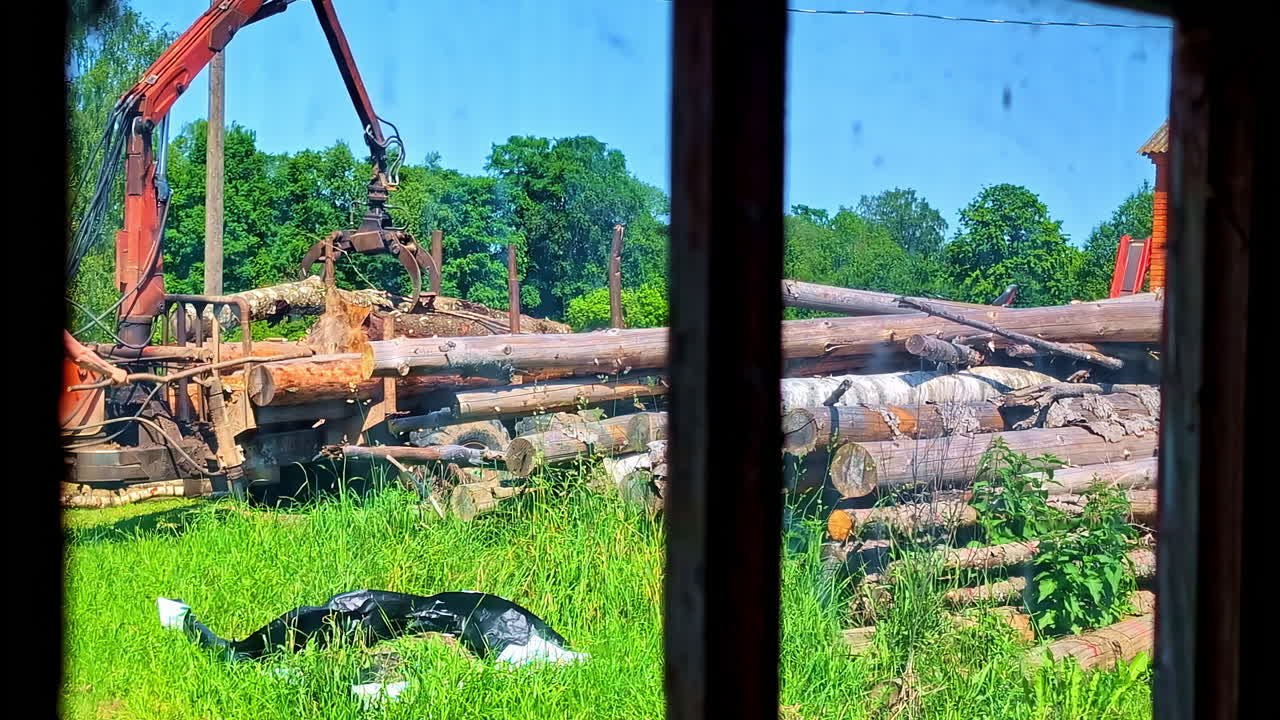 Swing arm forestry logging crane stacking cut trees onto the back of loader flat bed truck
