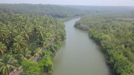 aerial view of a river among green forest and lush vegetation - talpona river, south goa, india - aerial drone shot