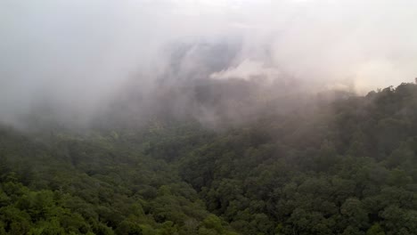 grito de montaña en la cresta azul y las montañas apalaches