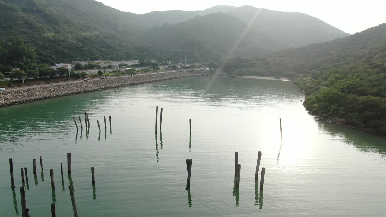 란타우 섬의 홍콩 숨겨진 만, 물 밖으로 튀어나온 오래된 나무 줄기, 공중 전망