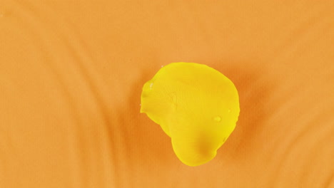 yellow rose petal on orange background