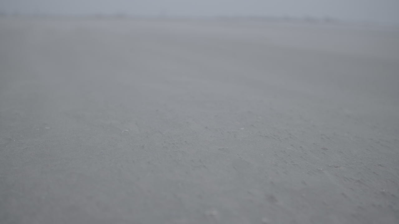 바람 로그에서 해변을 따라 움직이는 모래의 slowmotion 근접 촬영