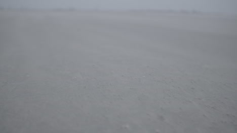 slowmotion closeup of sand moving along the beach in the wind log