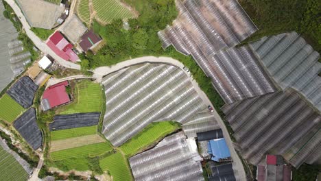 general landscape view of the brinchang district within the cameron highlands area of malaysia