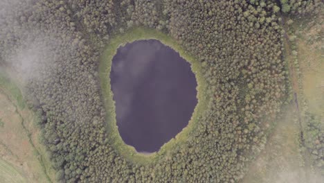 vista superior vuelo aéreo en las nubes sobre pequeño lago de forma redonda. moviéndose hacia arriba, clara agua turquesa de estanque rodeado en el bosque de otoño.
