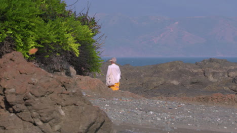 static shot of a couple walking along a beach in cebaco island veraguas