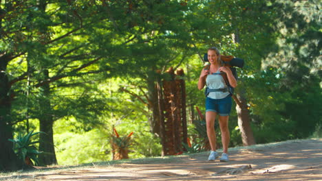 smiling woman with backpack on vacation hiking through countryside