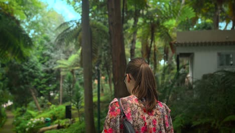 footage filmed in madeira portugal at monte palace tropical garden