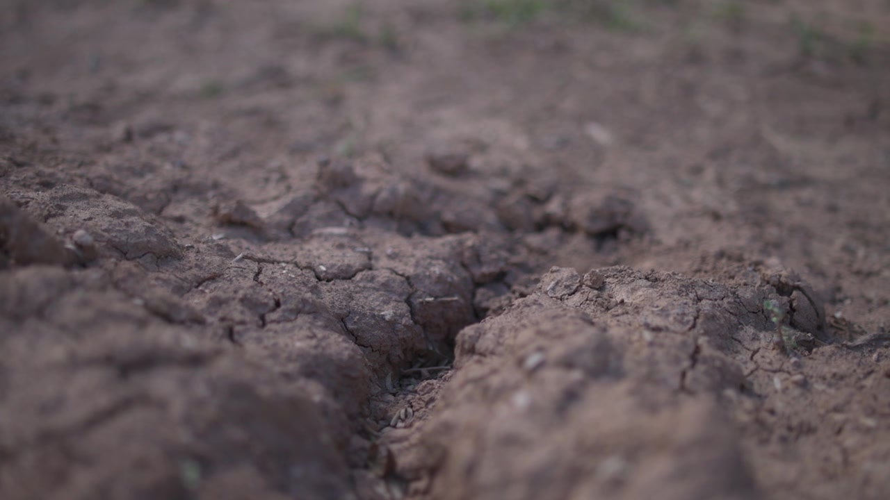 Primo piano di terra marrone e screpolata. Profonde fessure spaccano il terreno. Il suolo appare arido e secco. Sono mostrate gravi condizioni di siccità. Le preoccupazioni per la scarsità d'acqua sono evidenti