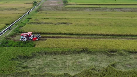 combines harvester harvesting rice on a bright day