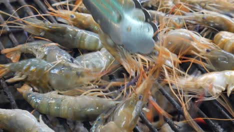 grill cooking river prawns on hot charcoal